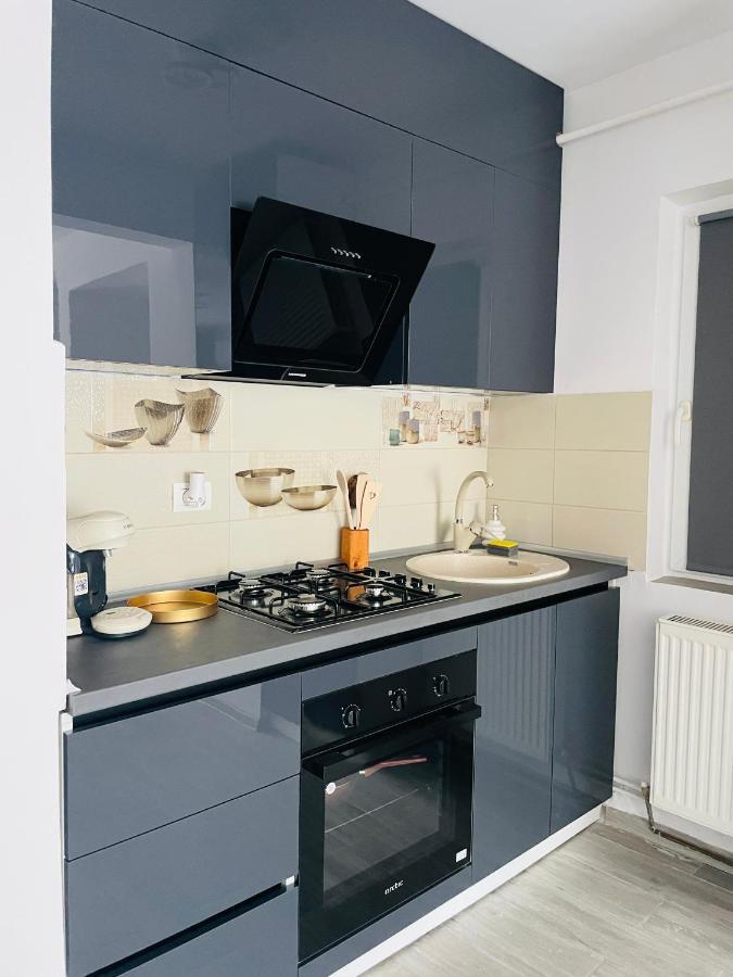 Timisoara Central Apartment New Parking !! Екстер'єр фото