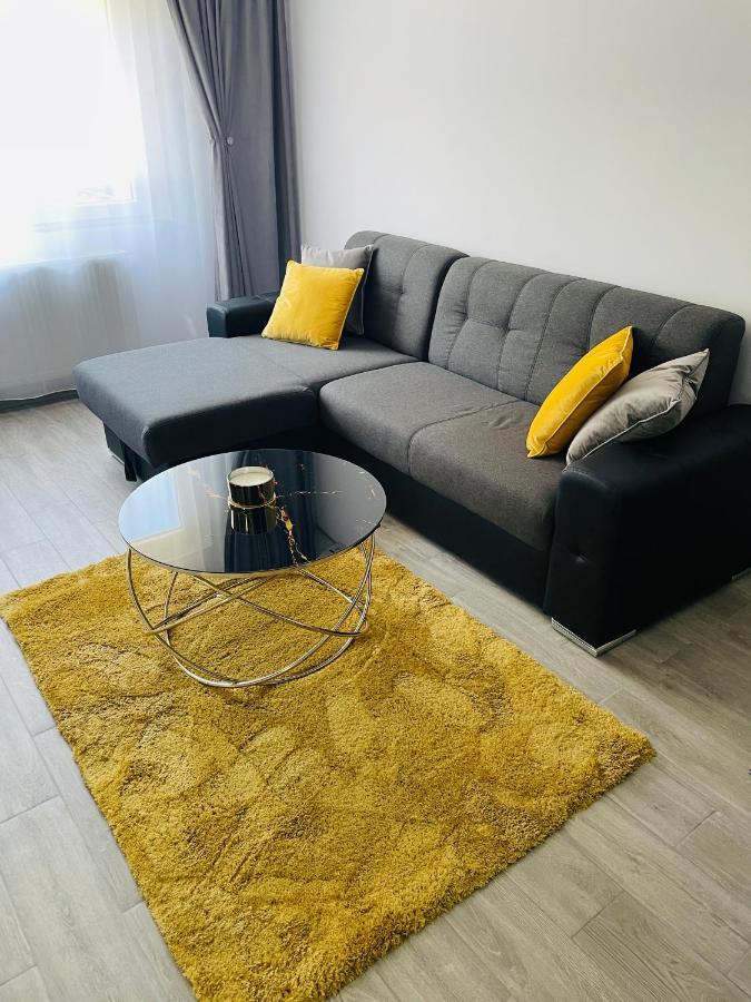 Timisoara Central Apartment New Parking !! Екстер'єр фото
