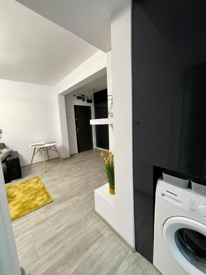 Timisoara Central Apartment New Parking !! Екстер'єр фото
