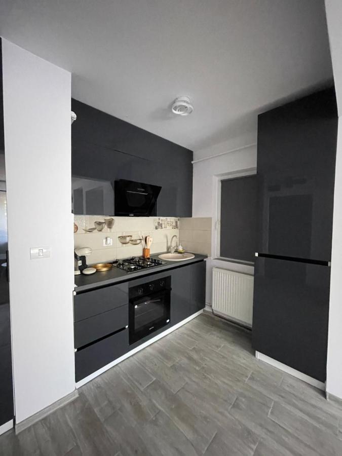 Timisoara Central Apartment New Parking !! Екстер'єр фото