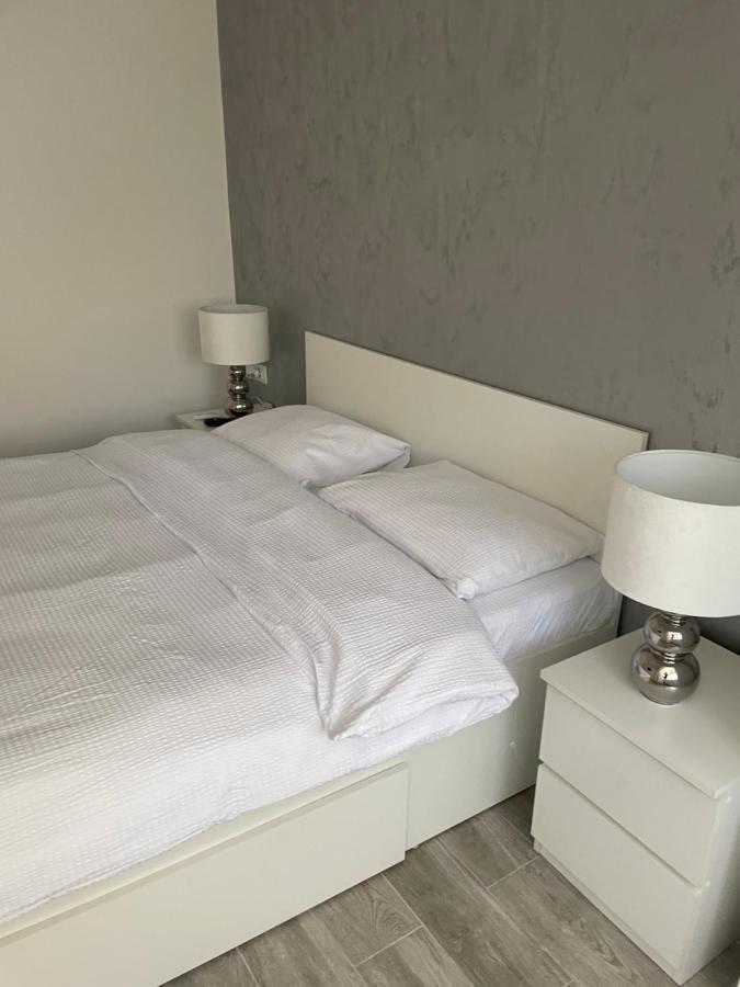 Timisoara Central Apartment New Parking !! Екстер'єр фото