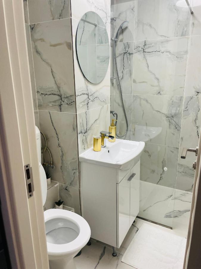 Timisoara Central Apartment New Parking !! Екстер'єр фото