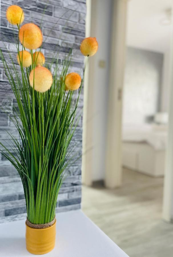 Timisoara Central Apartment New Parking !! Екстер'єр фото