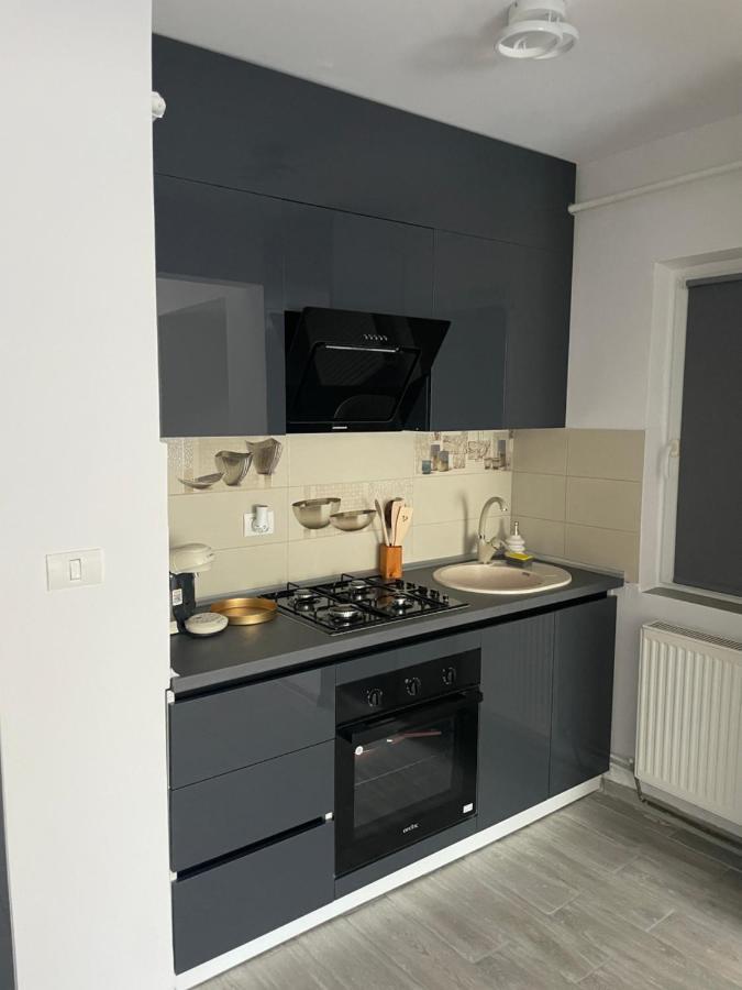 Timisoara Central Apartment New Parking !! Екстер'єр фото